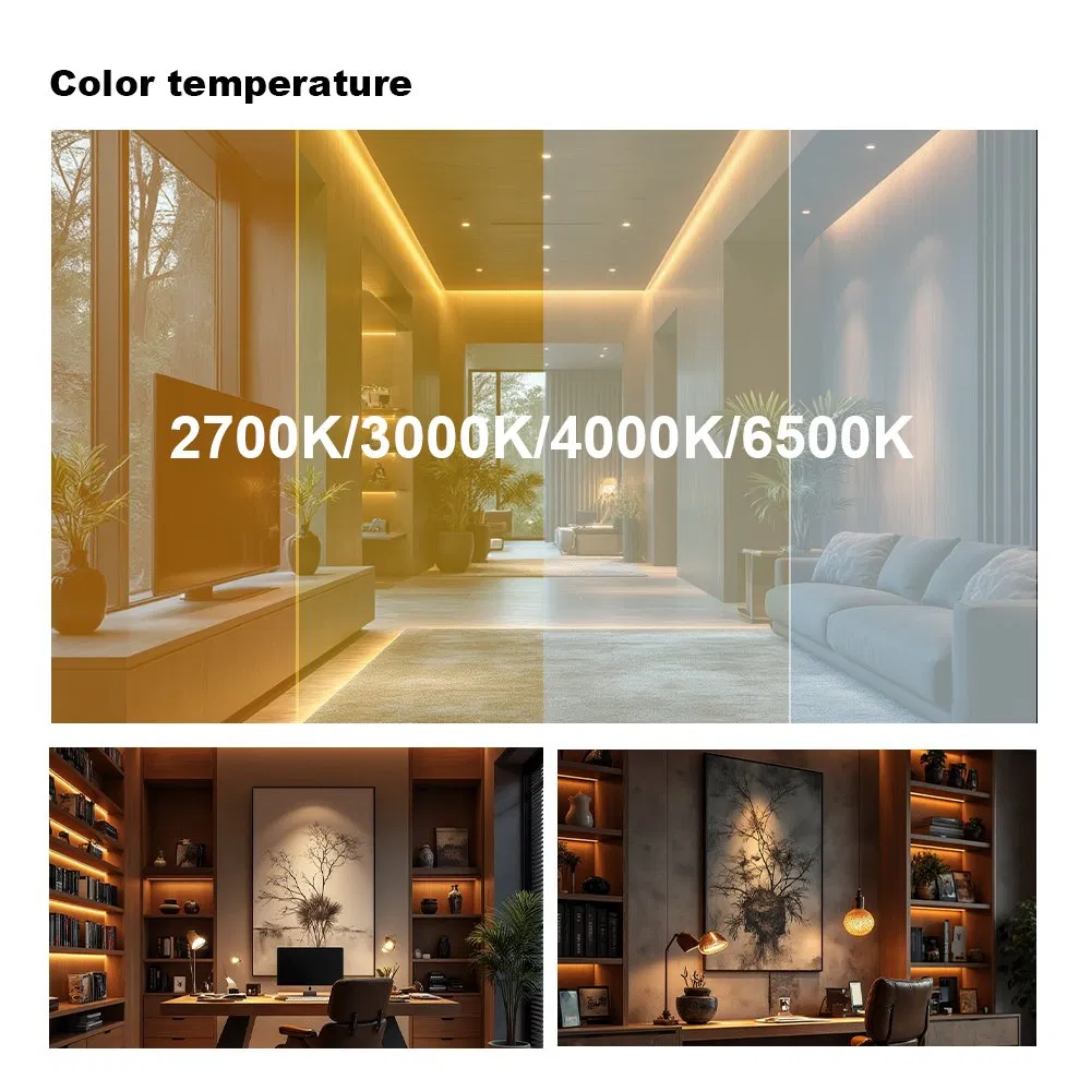 DC24V Single Color COB LED Strip Light IP20 Flexible Cuttable High Brightness