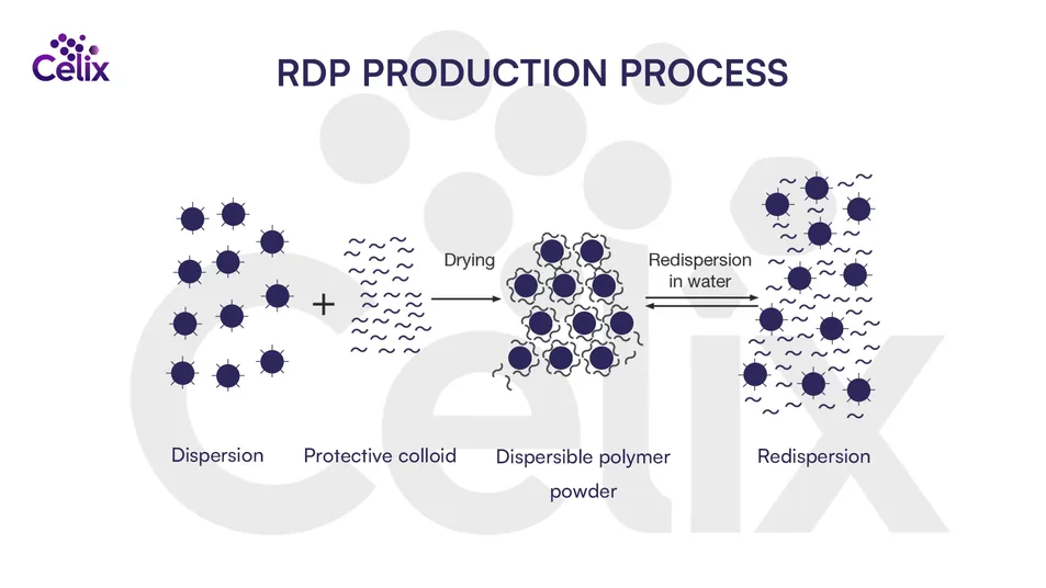 VAE RDP Manufacturing Process