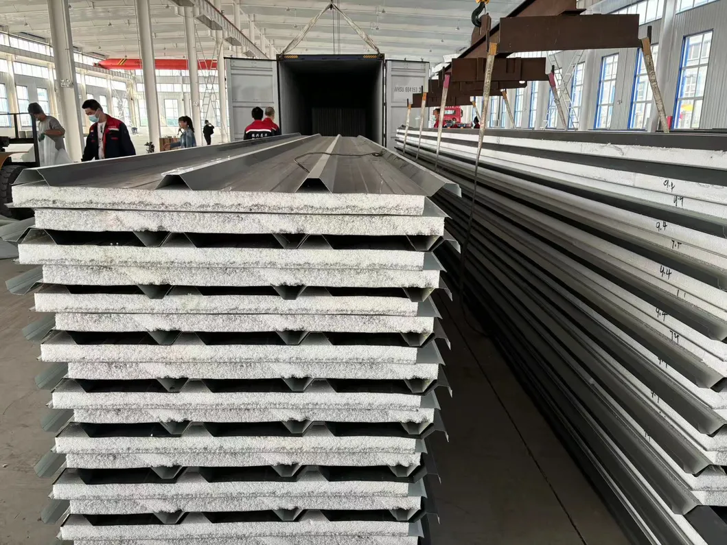 EPS Sandwich Panel 2