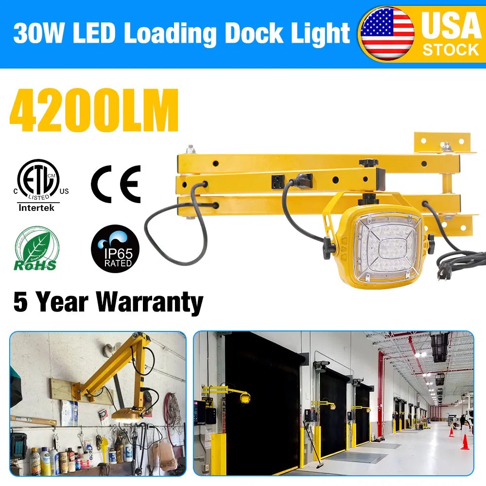 أضواء الفيض عالية الجودة 20W-60W LED للإضاءة في الأرصفة مع ذراع متأرجح