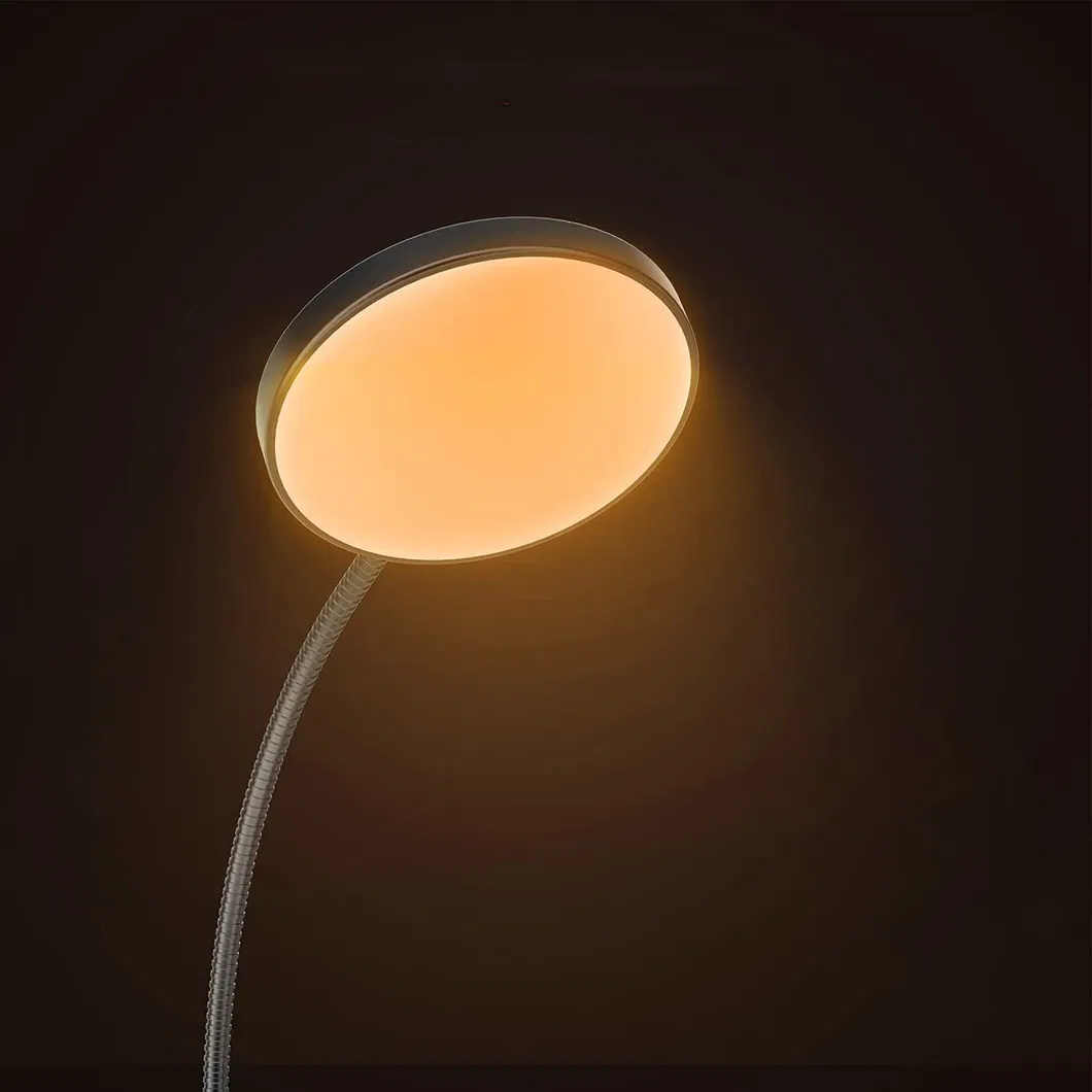 مصباح أرضي LED للقراءة في غرفة النوم بتصميم أنيق وقابل للتعديل مع ذراع مرن مقوس