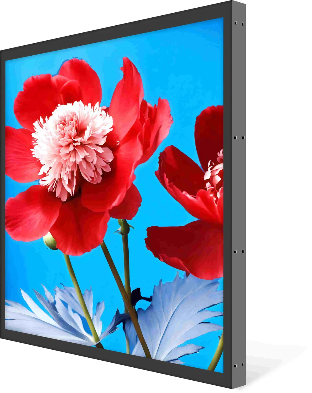 Square LCD Display 1