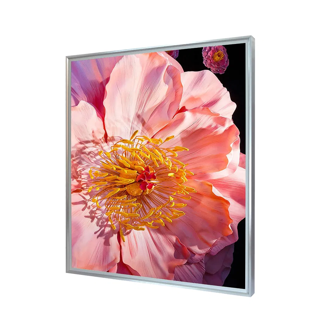 29.5'' Square LCD