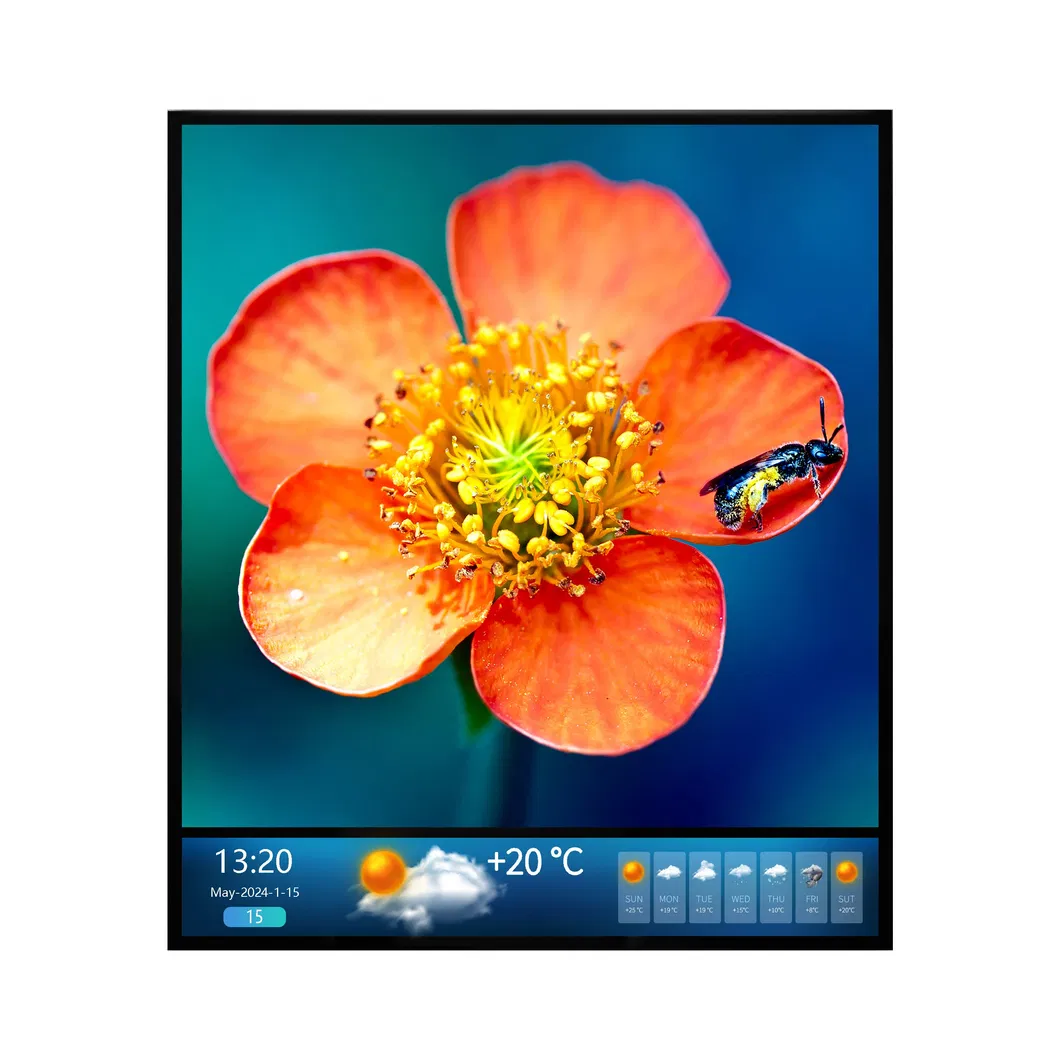 43'' Square LCD