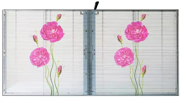 Transparent LED Video Wall
