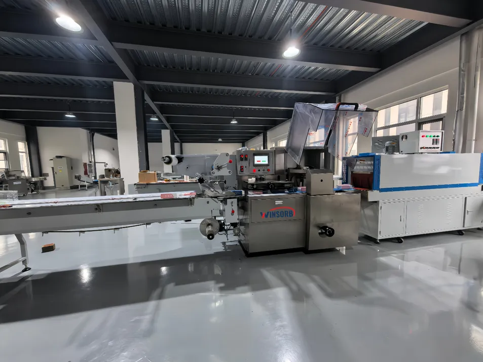 Workshop 2