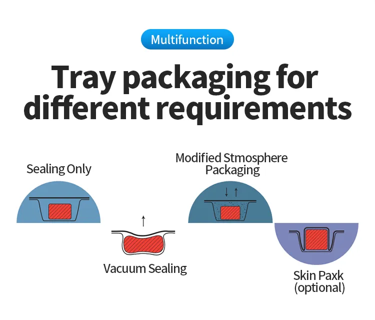 Vacuum Packaging Machine 7
