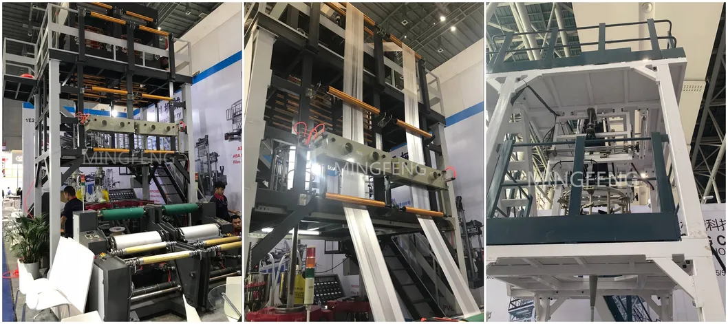 Exhibitions