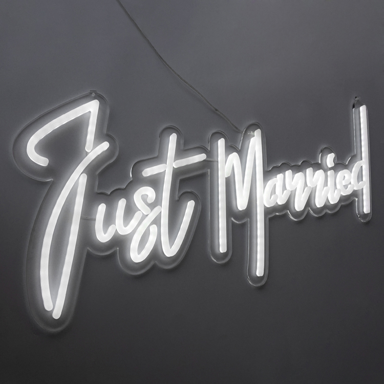 Custom Acrylic Neon Sign Letters | Acrylic Neon Light Supplier, Factories