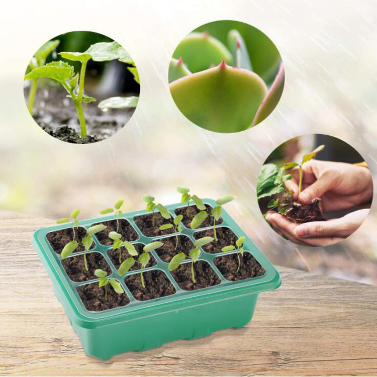 Wholesale Garden Plant Nursery Pot Grow 6/ 12 Cell Germination Starter Seedling Tray
