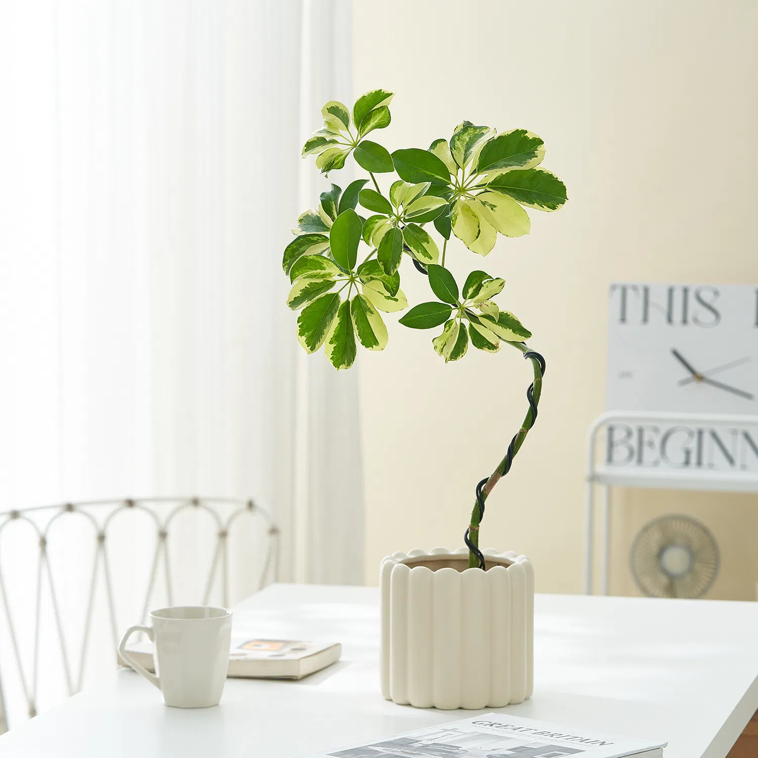 Beautiful Ceramic Flower Pot Garden Planter Flowerpot Art Craft Home Nursery Plant