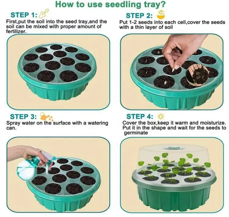 Seedling Tray 6