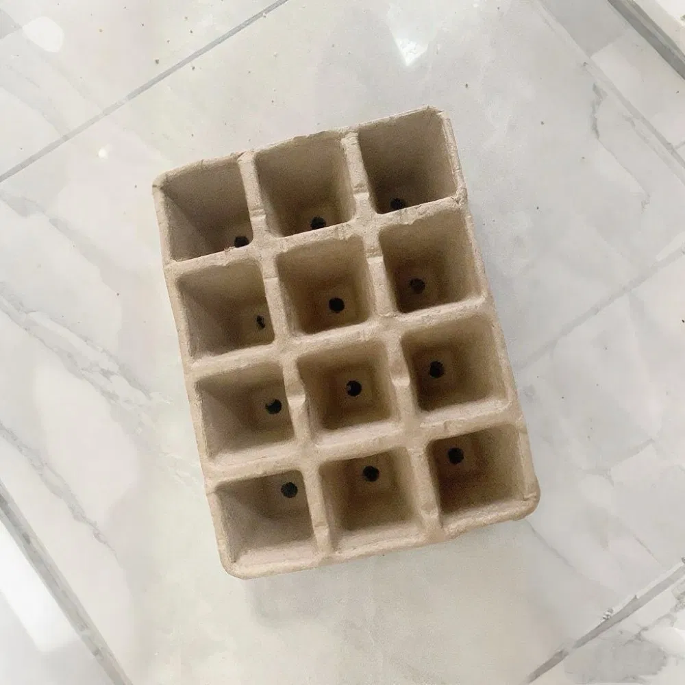 Biodegradable Single Wall Plant Seedling Cup Disposable 6 Round Pulp in Craft Paper Small Flower Pot Paper Cup