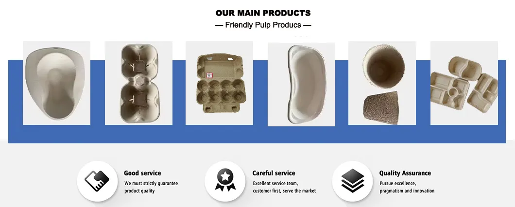 Recommended Products