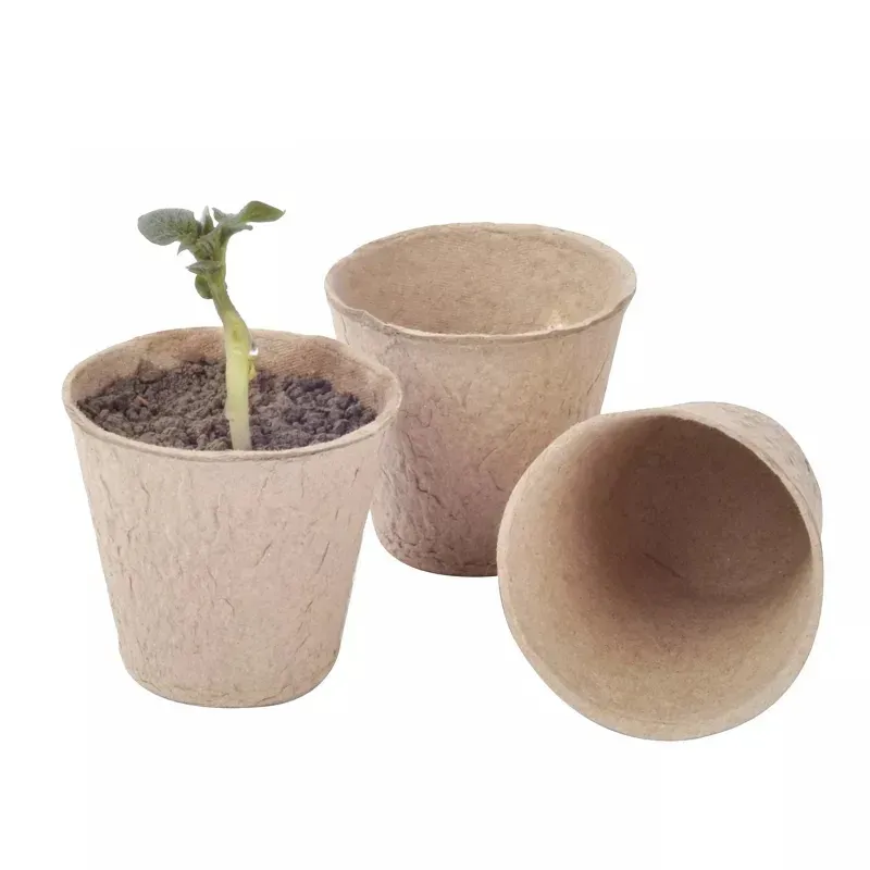 Plant Nursery Detail 6