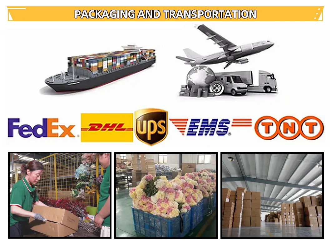 Packing and Delivery