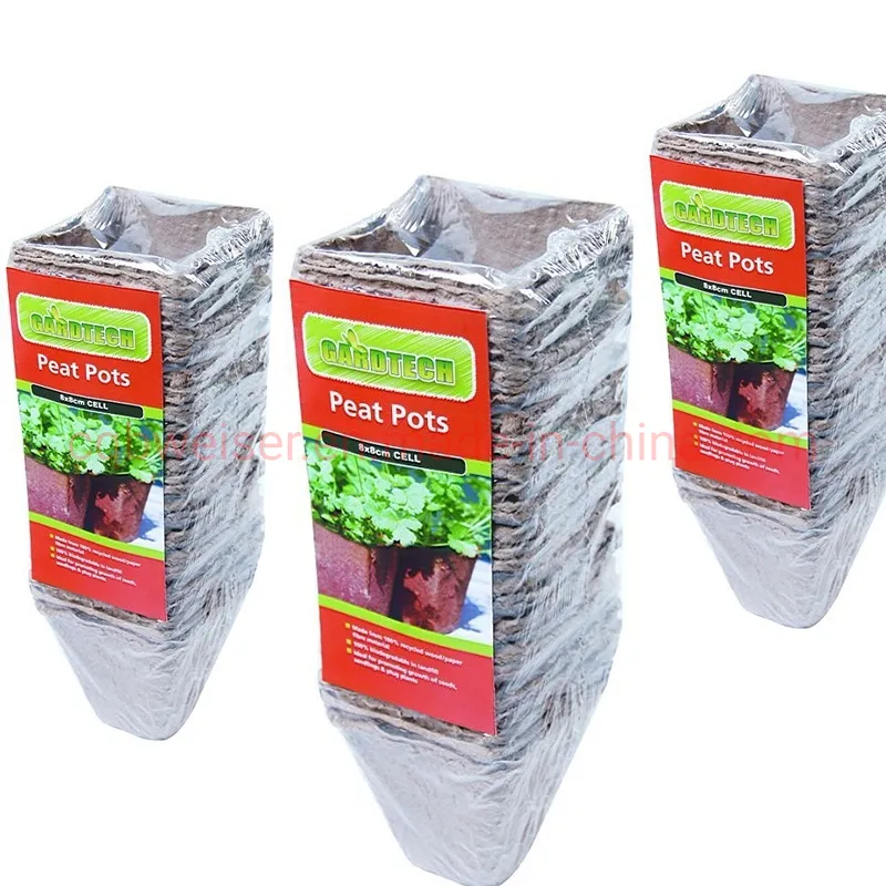Plant Nursery 12PCS Square Paper