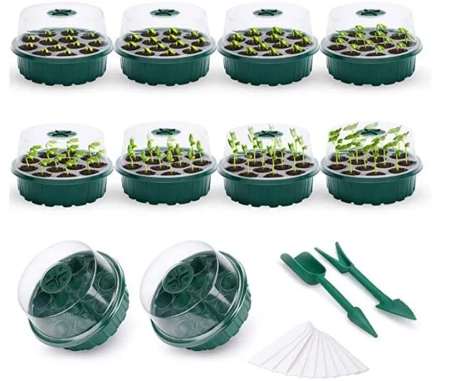 Seedling Tray 10