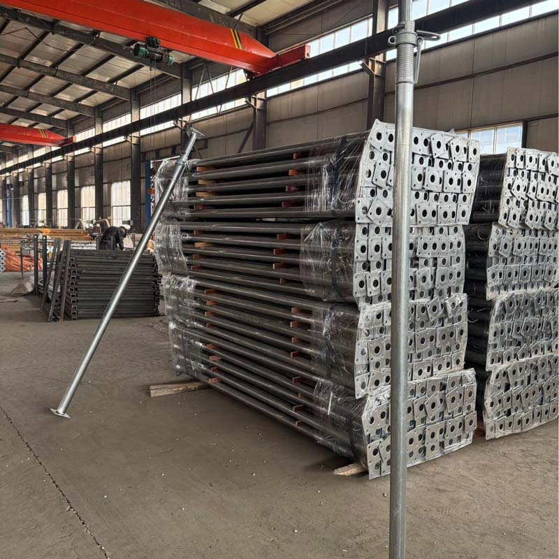 Heavy Duty Powder Coated Middle East Steel Prop with Flower Base Plate