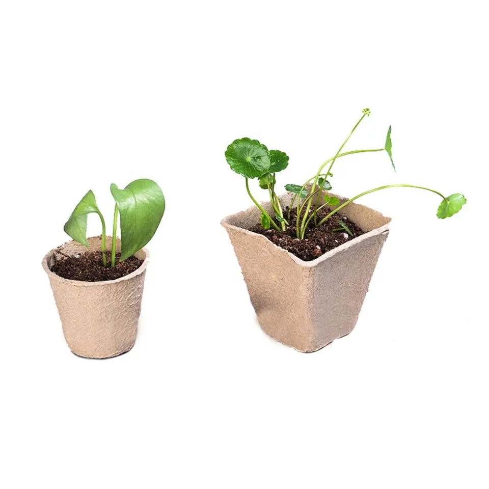 Plant Nursery 12PCS Square Paper