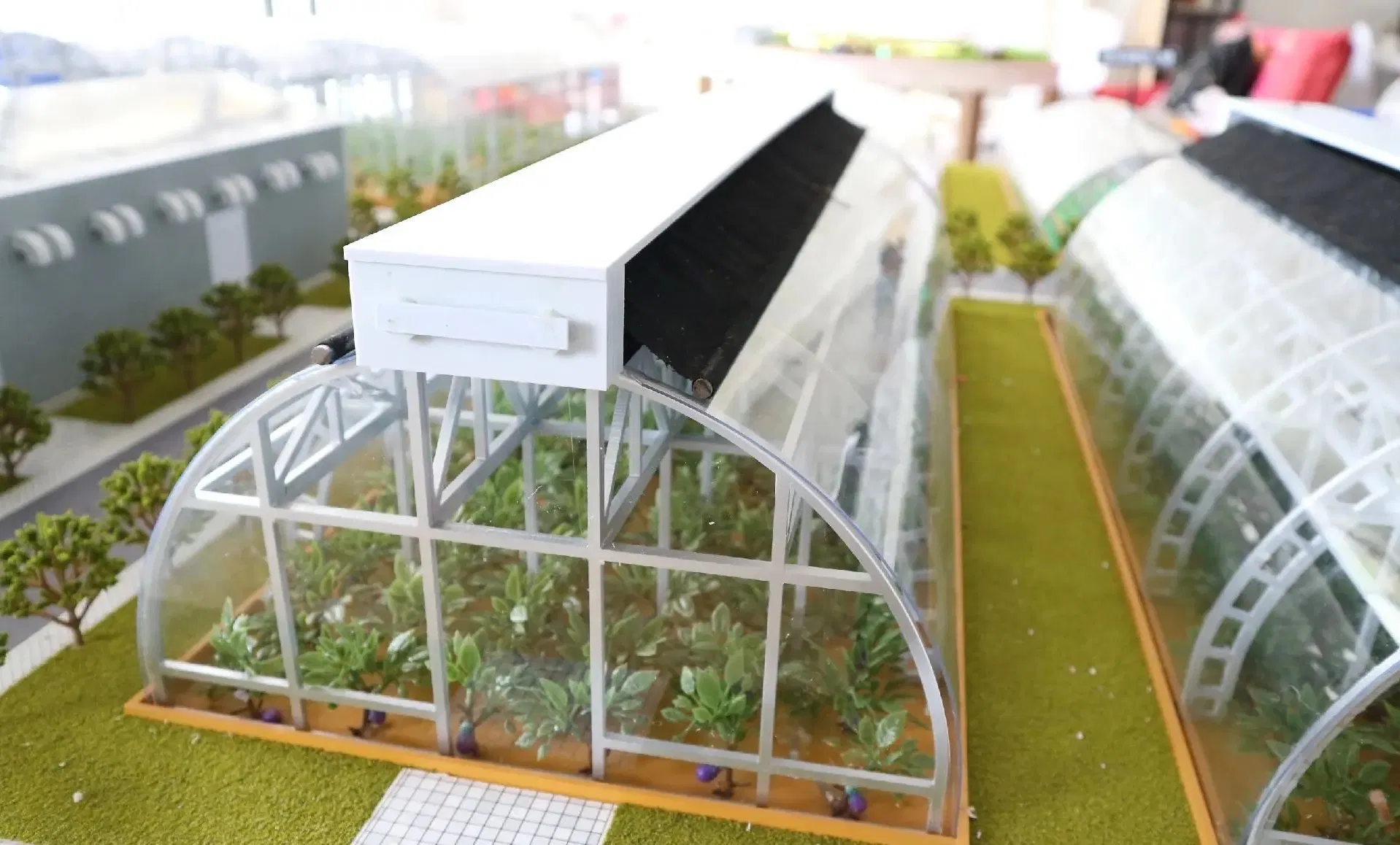 Agricultural Model Display