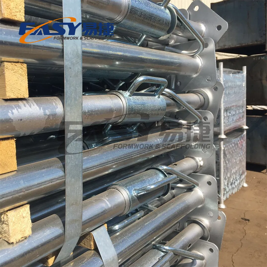 Scaffolding Detail 2