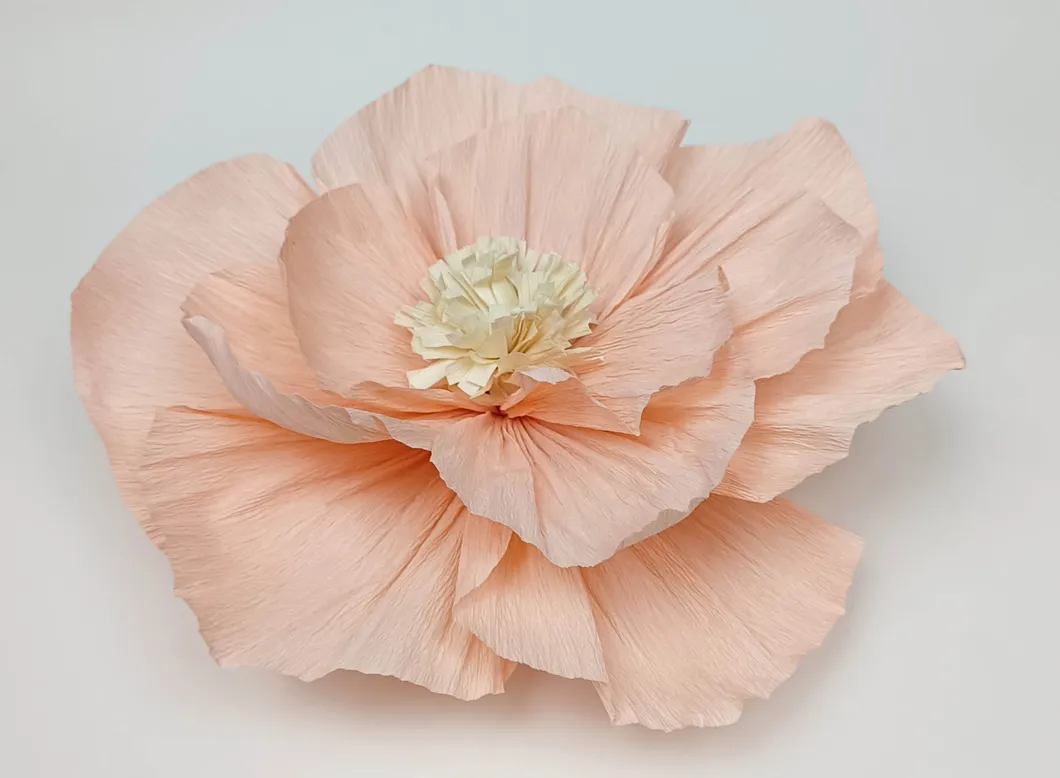 Crepe Paper Flower Display 3