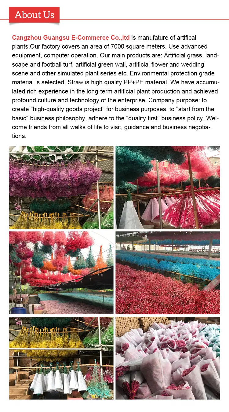 Event Backdrop Decor