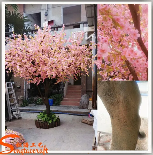 Blossom Tree Gallery 1