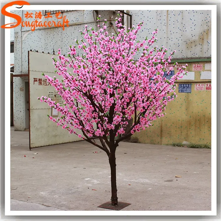 Cherry Blossom Showroom