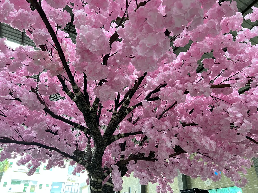 Cherry Blossom Tree 6