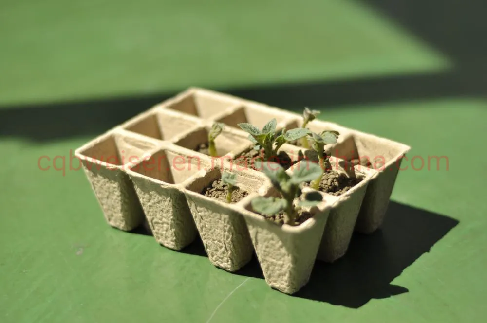 Seedlings Growing Paper Pot Trays 3X4 Cups Pulp Nursery Pots