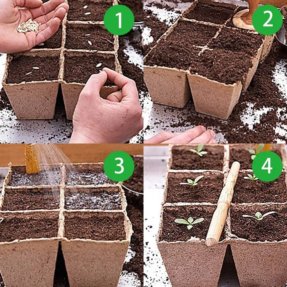 Plant Nursery Detail 5