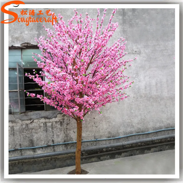 Indoor Decoration Detail