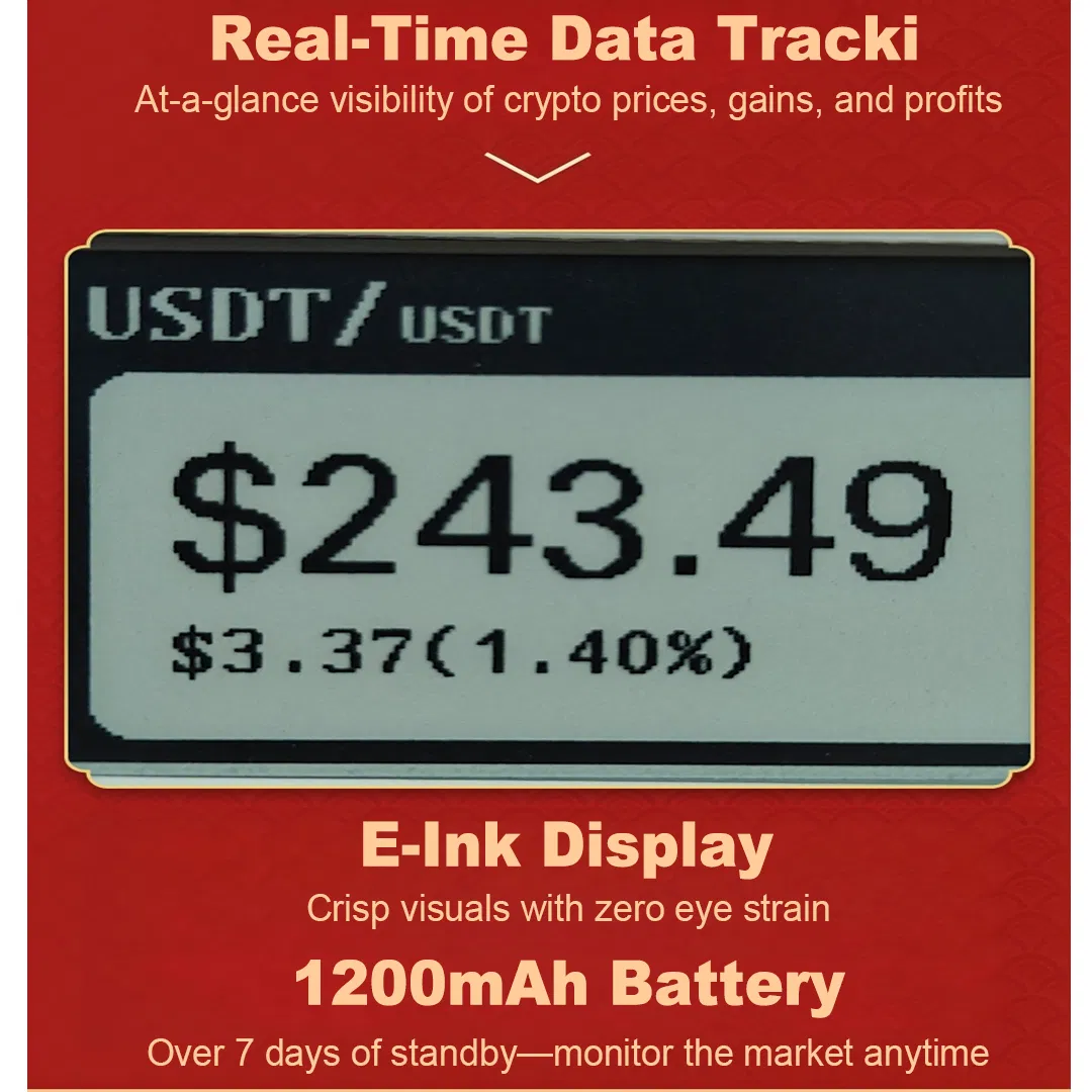 E-Ink Display Detail 2