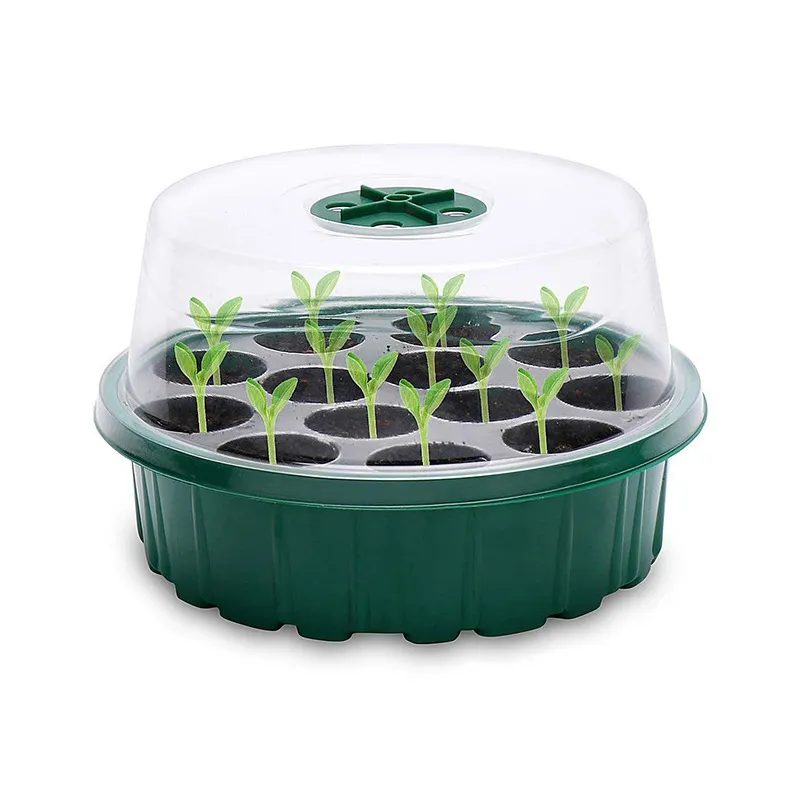 Germination Box 1