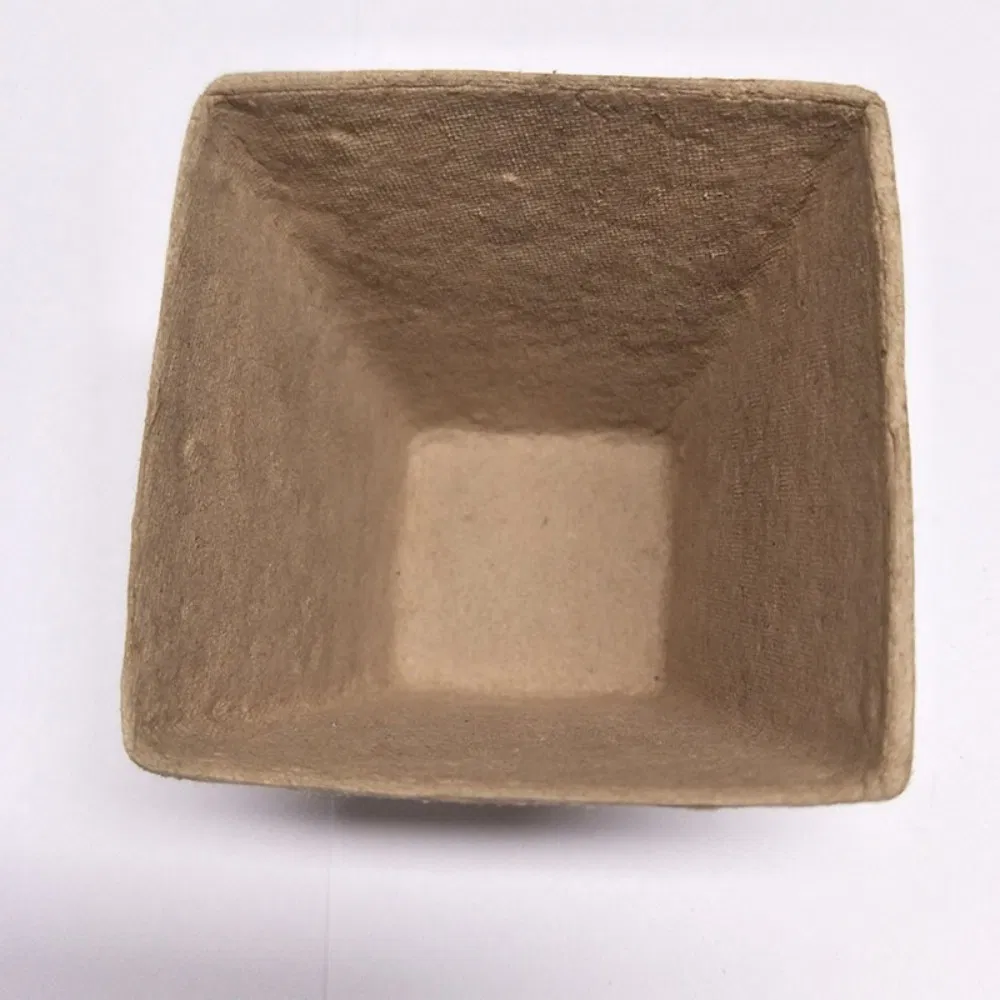Biodegradable Single Wall Plant Seedling Cup Disposable 6 Round Pulp in Craft Paper Small Flower Pot Paper Cup