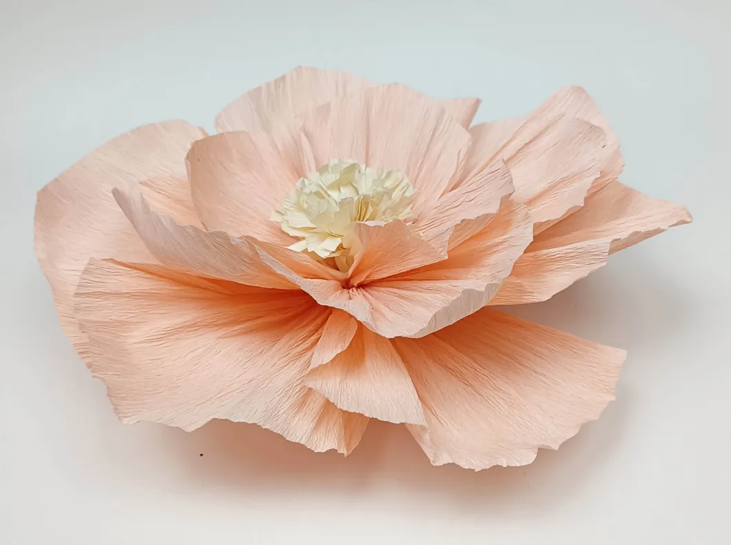 Crepe Paper Flower Display 2