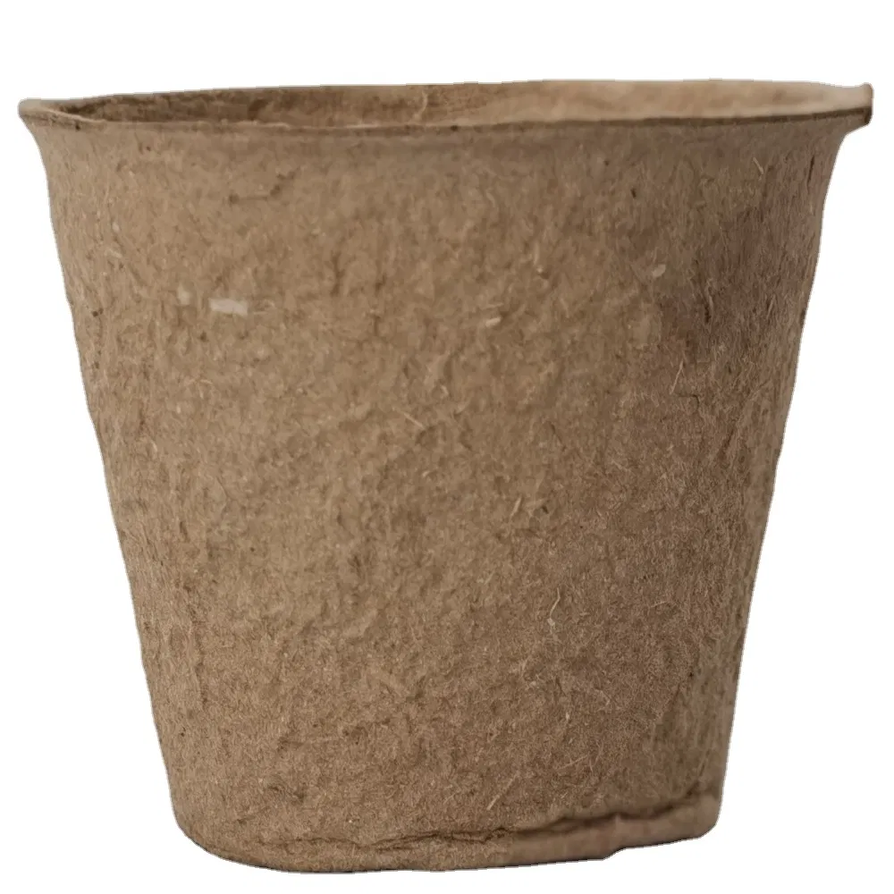 Seedling Cup Detail 3