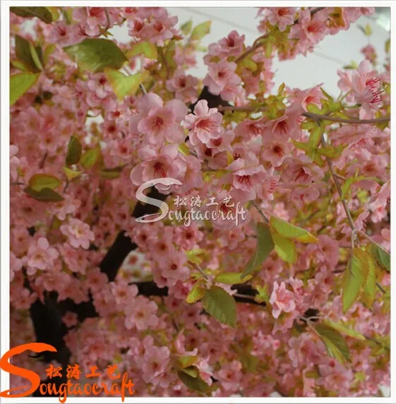 Blossom Tree Gallery 3