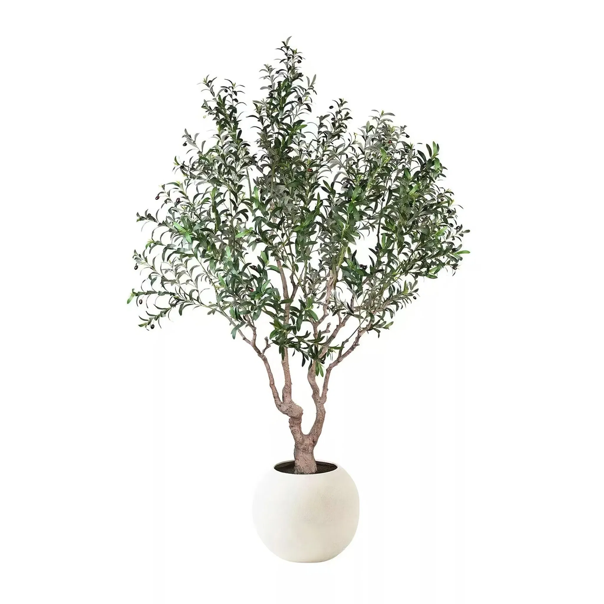 2.4m Realistic Artificial Olive Tree UV-Resistant &amp; Low Maintenance for Home/Hotel/Commercial Decor Retailers &amp; Designers