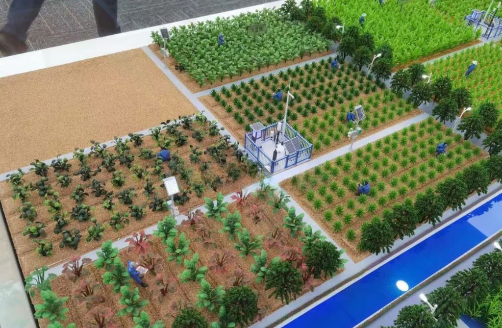 Corporate Exhibition Ready: Hand-Made Agricultural Sand Table Sculpture