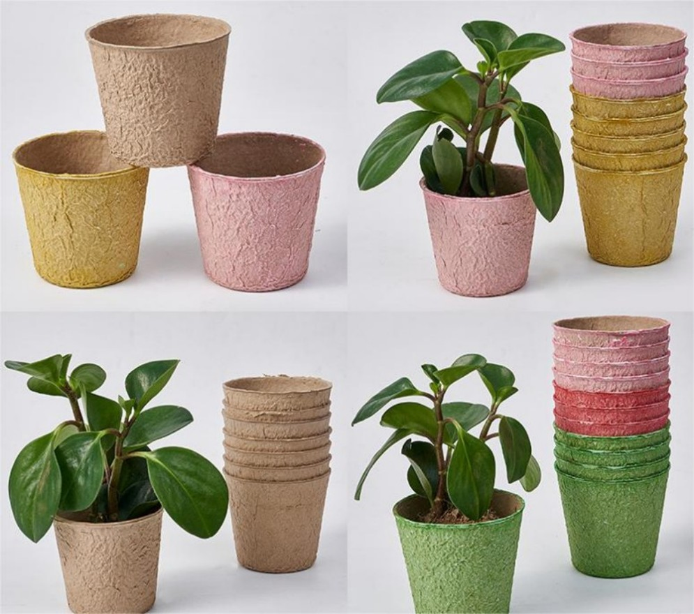 Single Wall Cardboard Tray for Paper Cups Durable and Eco-Friendly Serving Solution