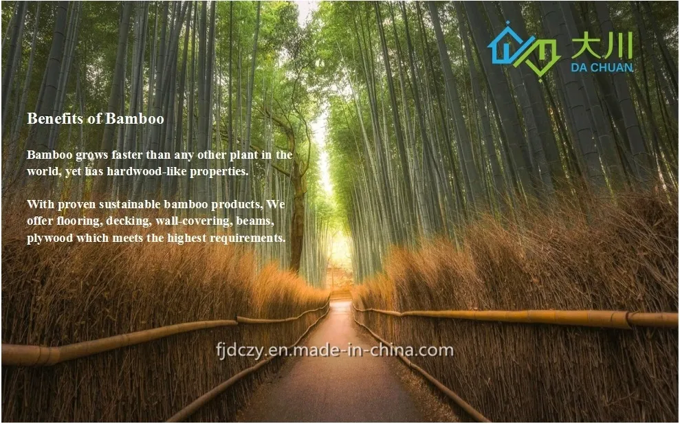 Bamboo Flooring Details