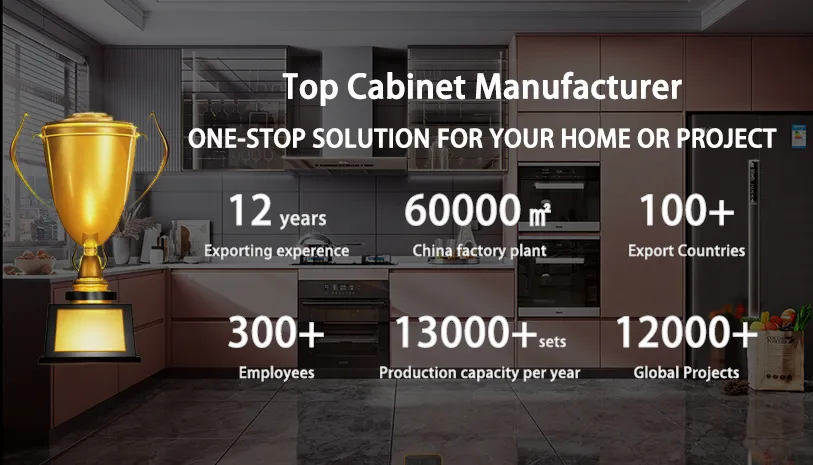 Modern Cabinets Kitchen