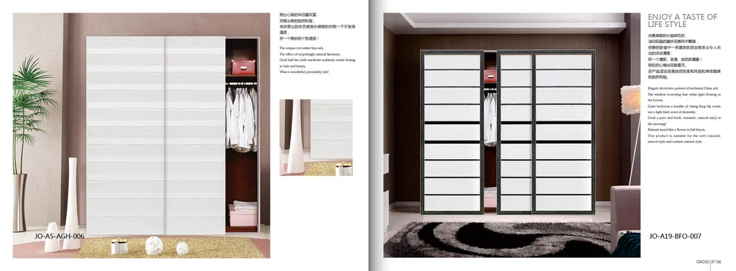 Glass Series Sliding Door 2