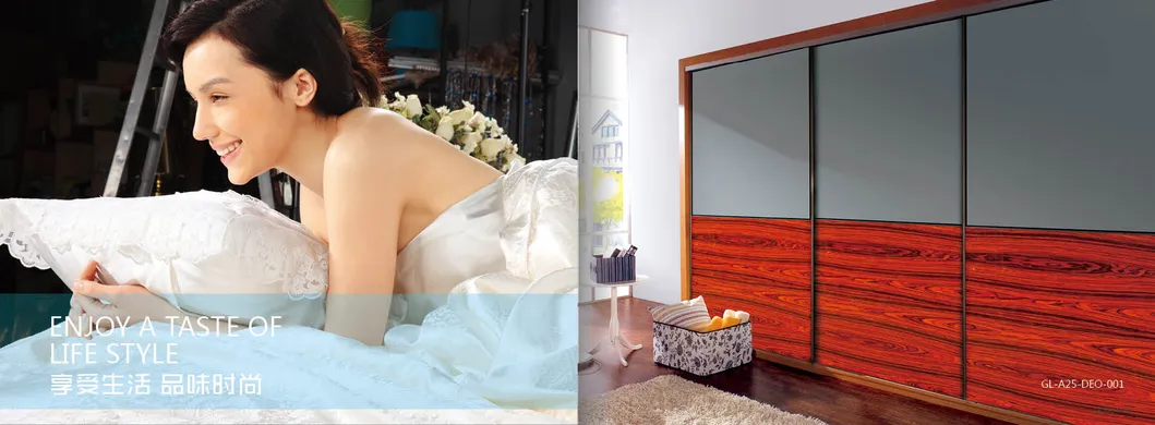 Glass Series Sliding Door 4