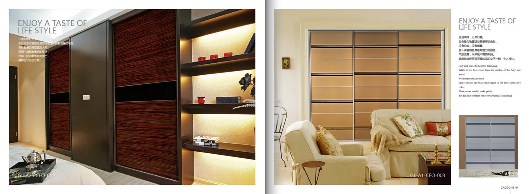Glass Series Sliding Door 5