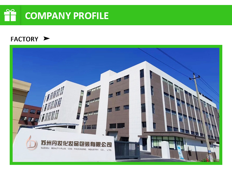 Company Introduction Overview