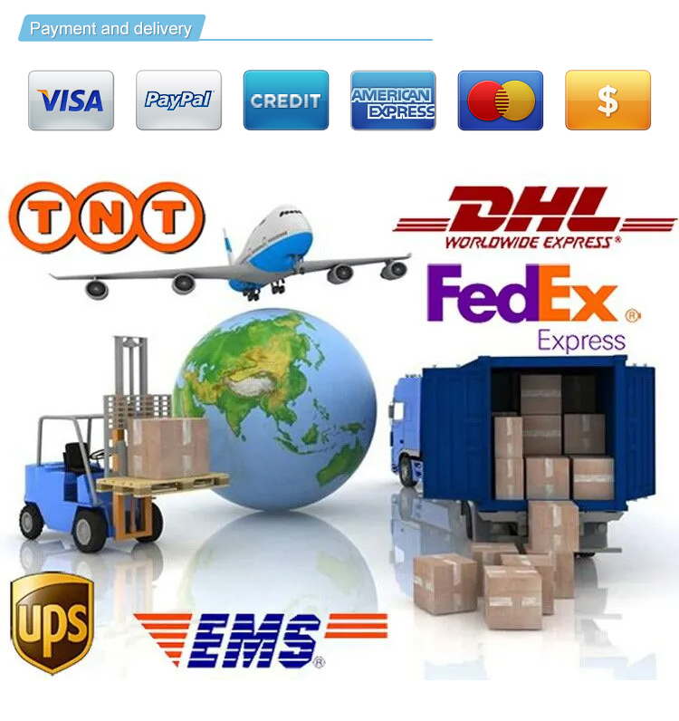 Shipping Logistics